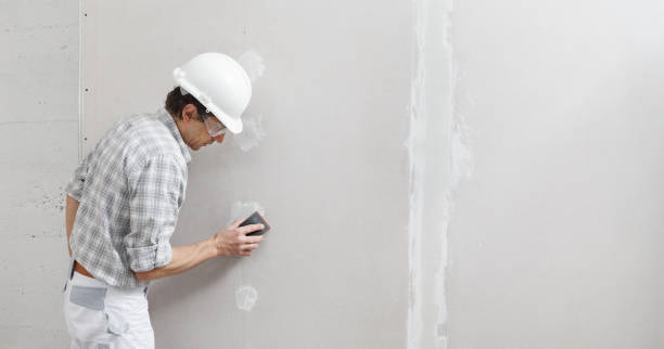 Best Drywall Installation  in USA